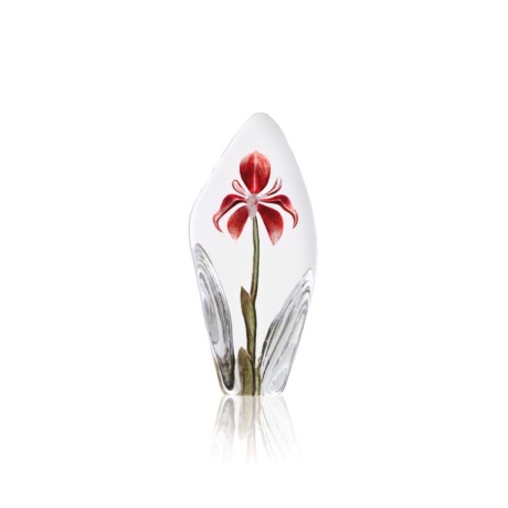 Mats Jonasson Crystal - FLORAL FANTASY Orchid red - 33819 Mats Jonasson Crystal - FLORAL FANTASY Orchid red - 33819